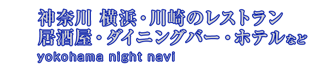 横浜ナイトnaviメインイメージ01