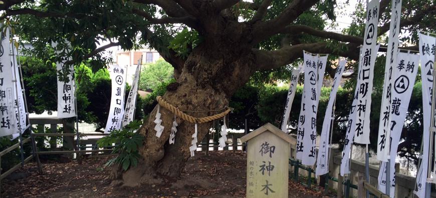 龍口明神社フォト7