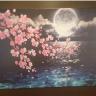 横浜ナイトナビの新着フォト5