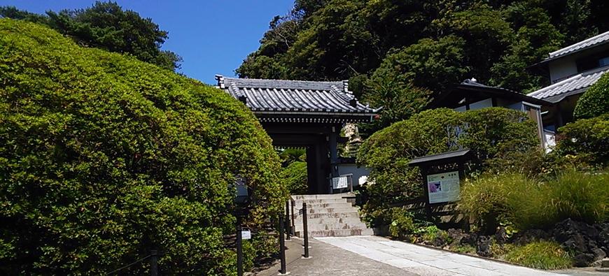 安養院（田代寺）フォト1