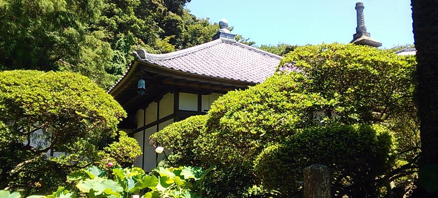 安養院（田代寺）フォト5