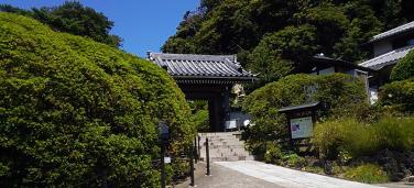 安養院（田代寺）