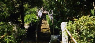 杉本寺