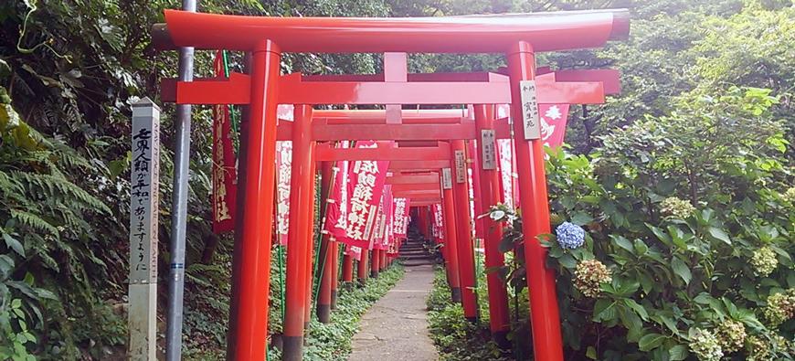 佐助稲荷神社フォト1