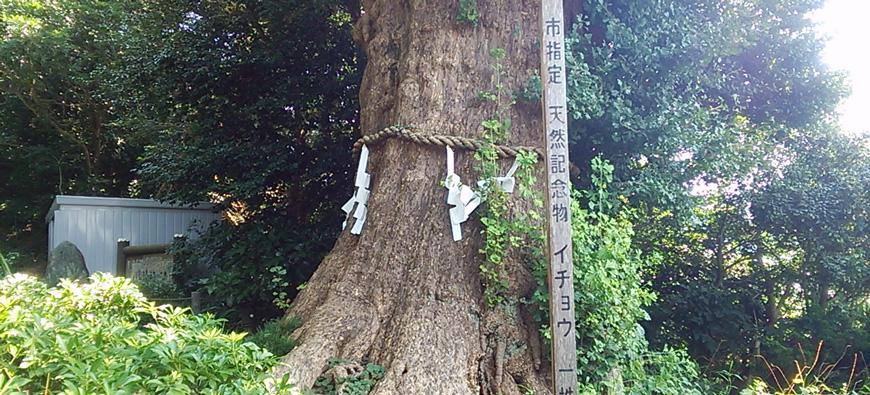 荏柄天神社フォト3