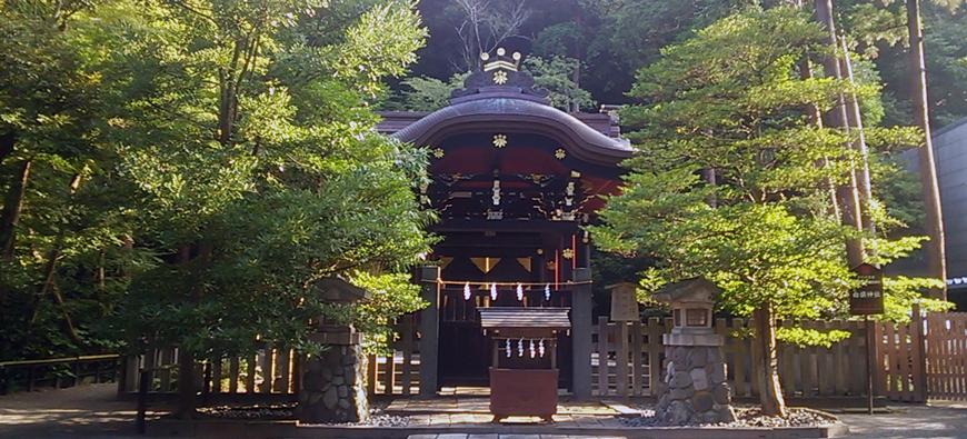 鶴岡八幡宮フォト10