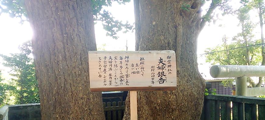 御霊神社フォト5