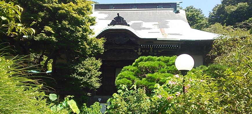 妙法寺フォト1