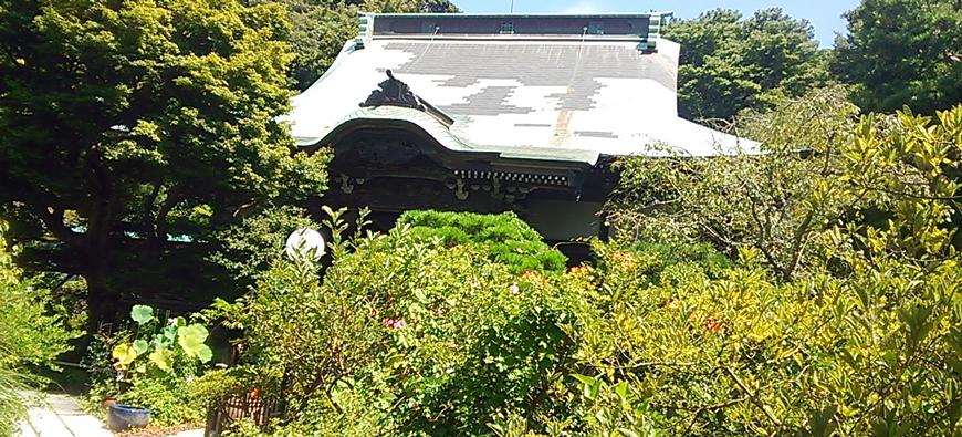 妙法寺フォト2