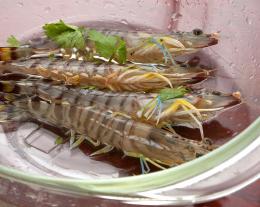 活き才巻エビの紹興酒踊り（要予約）