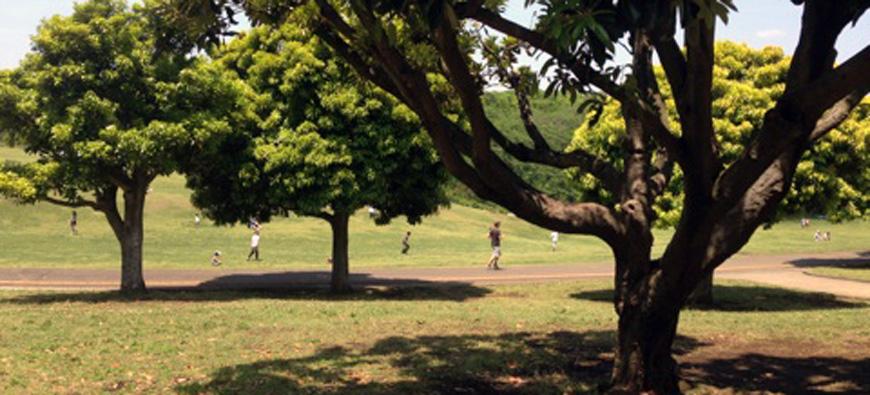 根岸森林公園フォト1