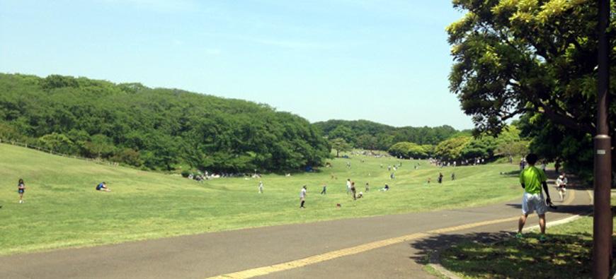 根岸森林公園フォト3