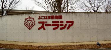 よこはま動物園ズーラシア